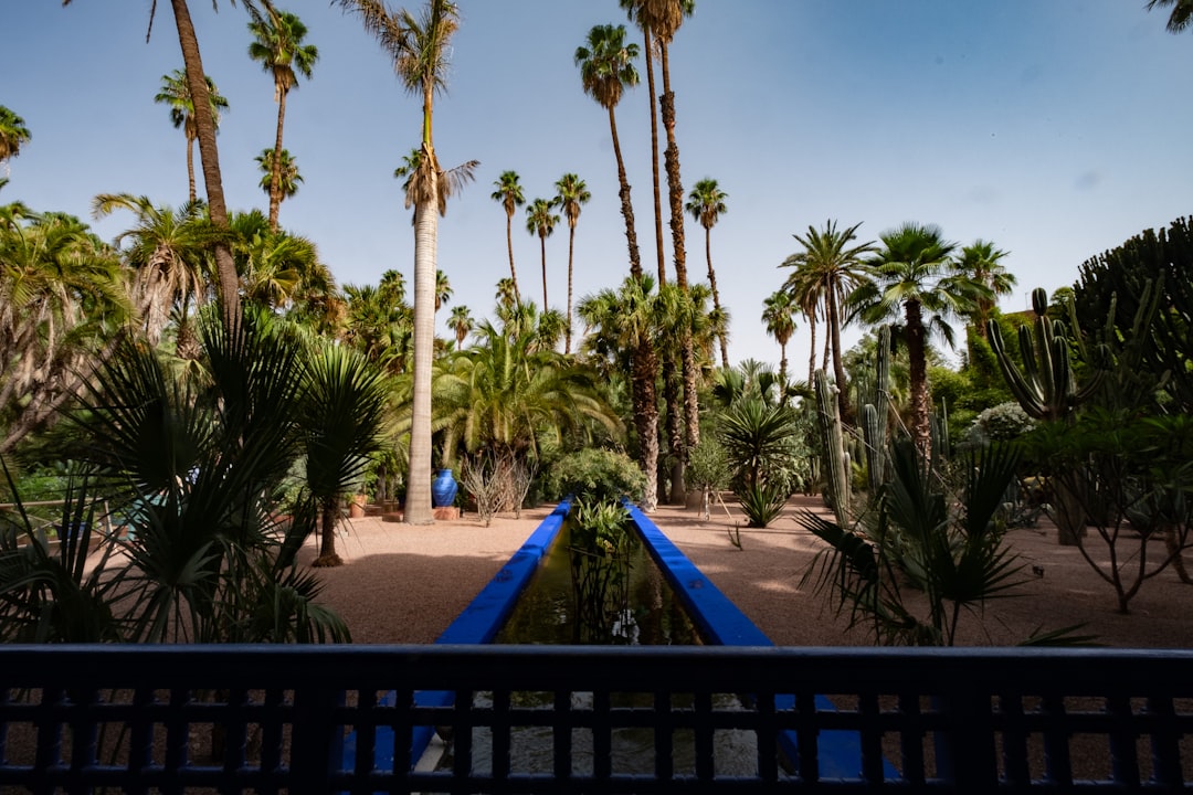 Pose et entretien de gazon