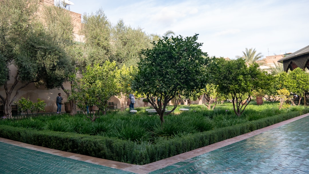 Entretien de jardin et taille