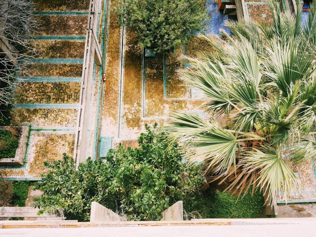 Aménagement extérieur — terrasse, allée, bassin